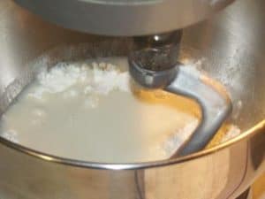 Impasto pizza in planetaria