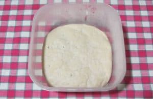 Biga dopo 18 ore di lievitazione