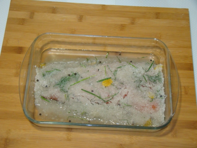 Pirofila con salmone coperto da sale, zucchero, scorze e aromi durante la marinatura a secco